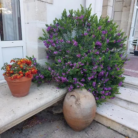 D'hotes L'insulaire Penzion Saint-Denis-dʼOléron