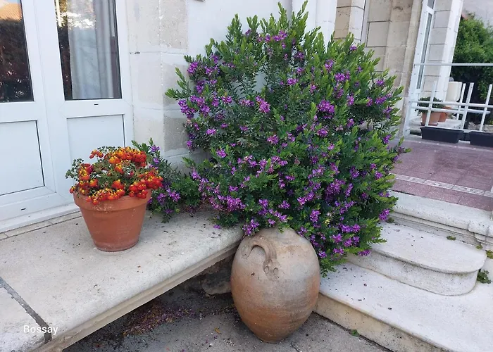 D'hotes L'insulaire Gasthof Saint-Denis-dʼOléron