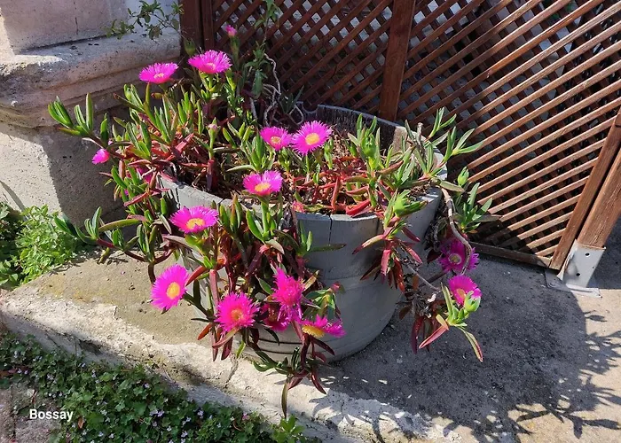 因素莱尔旅馆 招待所