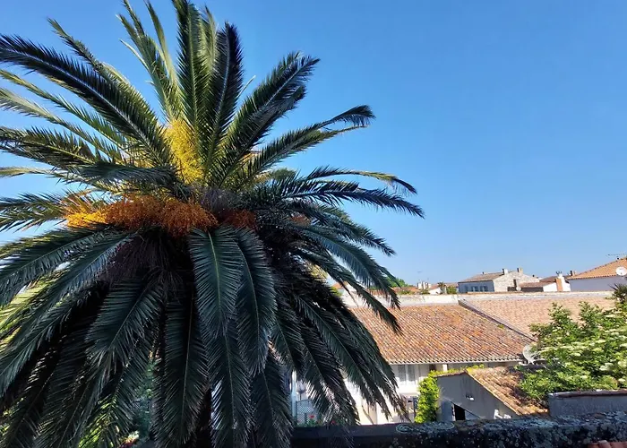 招待所 因素莱尔旅馆 3*