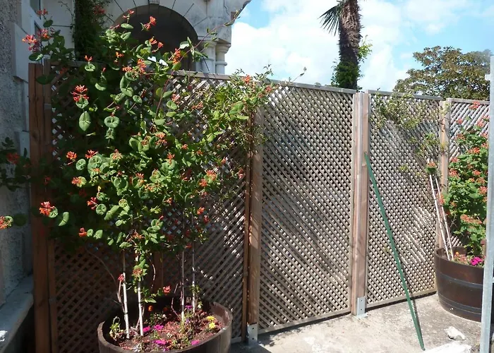 D'hotes L'insulaire Gasthof Saint-Denis-dʼOléron